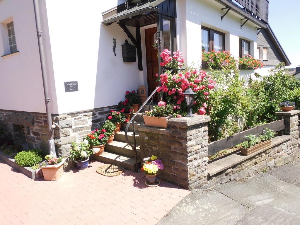 In Langewiese Sauerland With Garden Apartment *