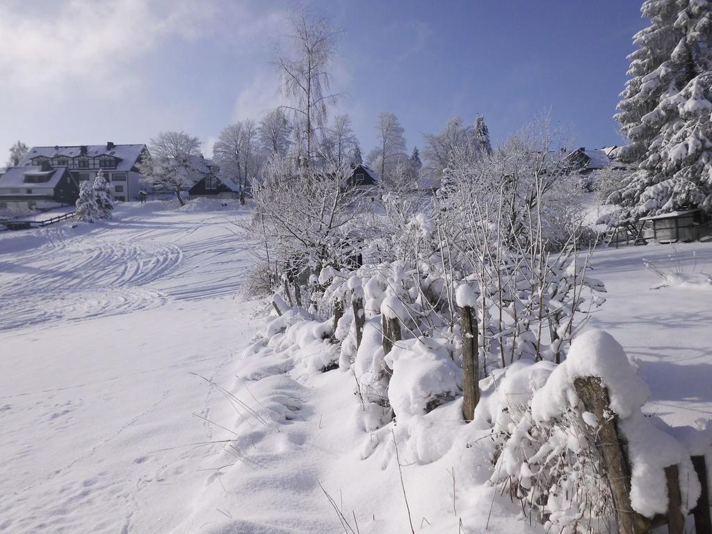 In Langewiese Sauerland With Garden Appartement *